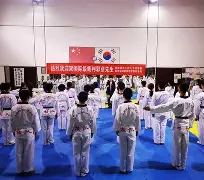 2025全国跆拳道锦标赛回放视频全部 2025全国跆拳道锦标赛回放视频全部