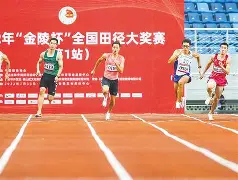  天虎突击队迅雷下载 